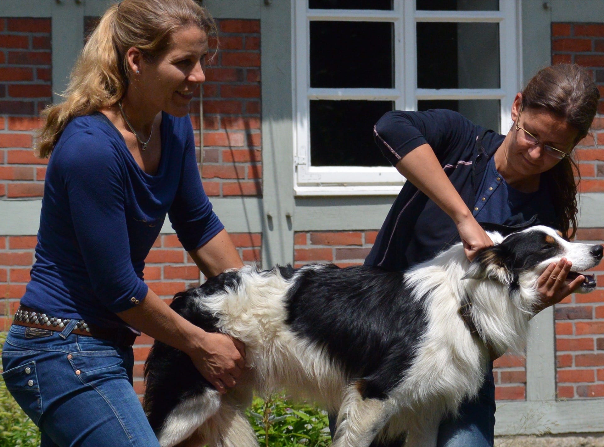 Advanced Small Animal seminar photo 1.