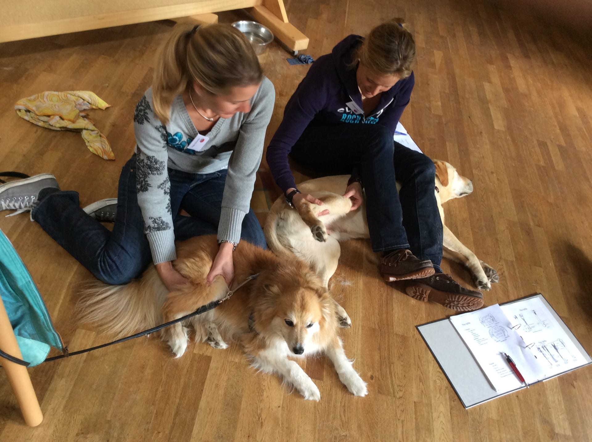 Advanced Small Animal seminar photo 1.