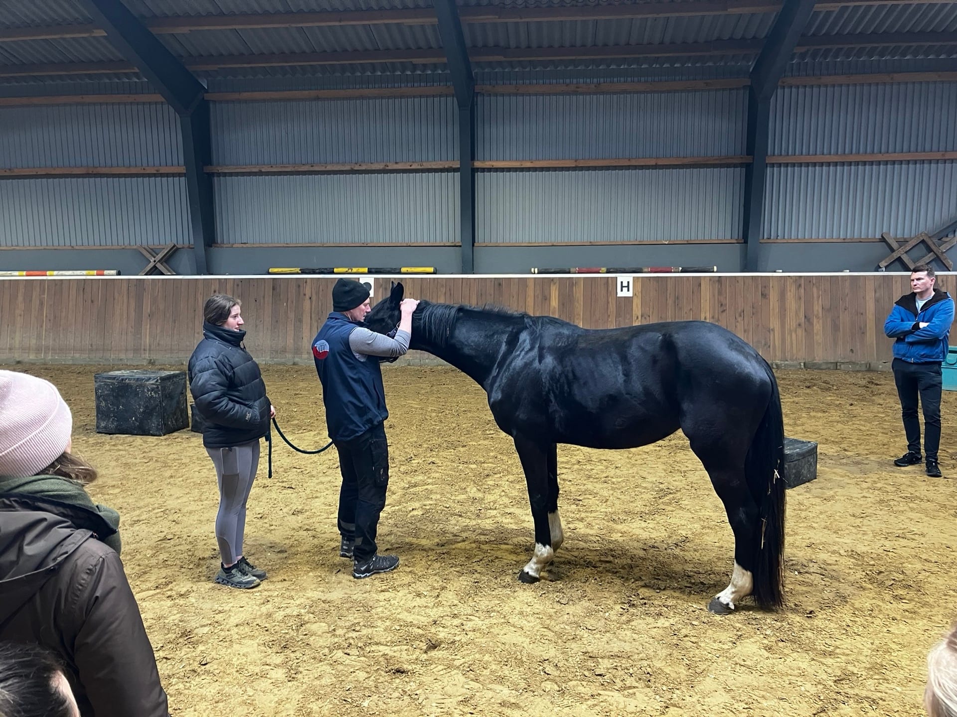 Advanced Equine seminar photo 3.