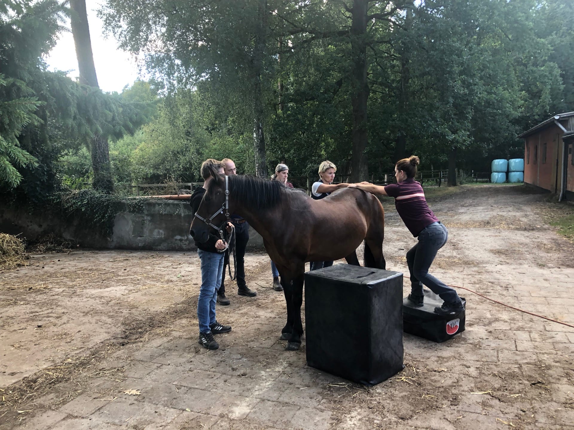 Advanced Equine seminar photo 1.