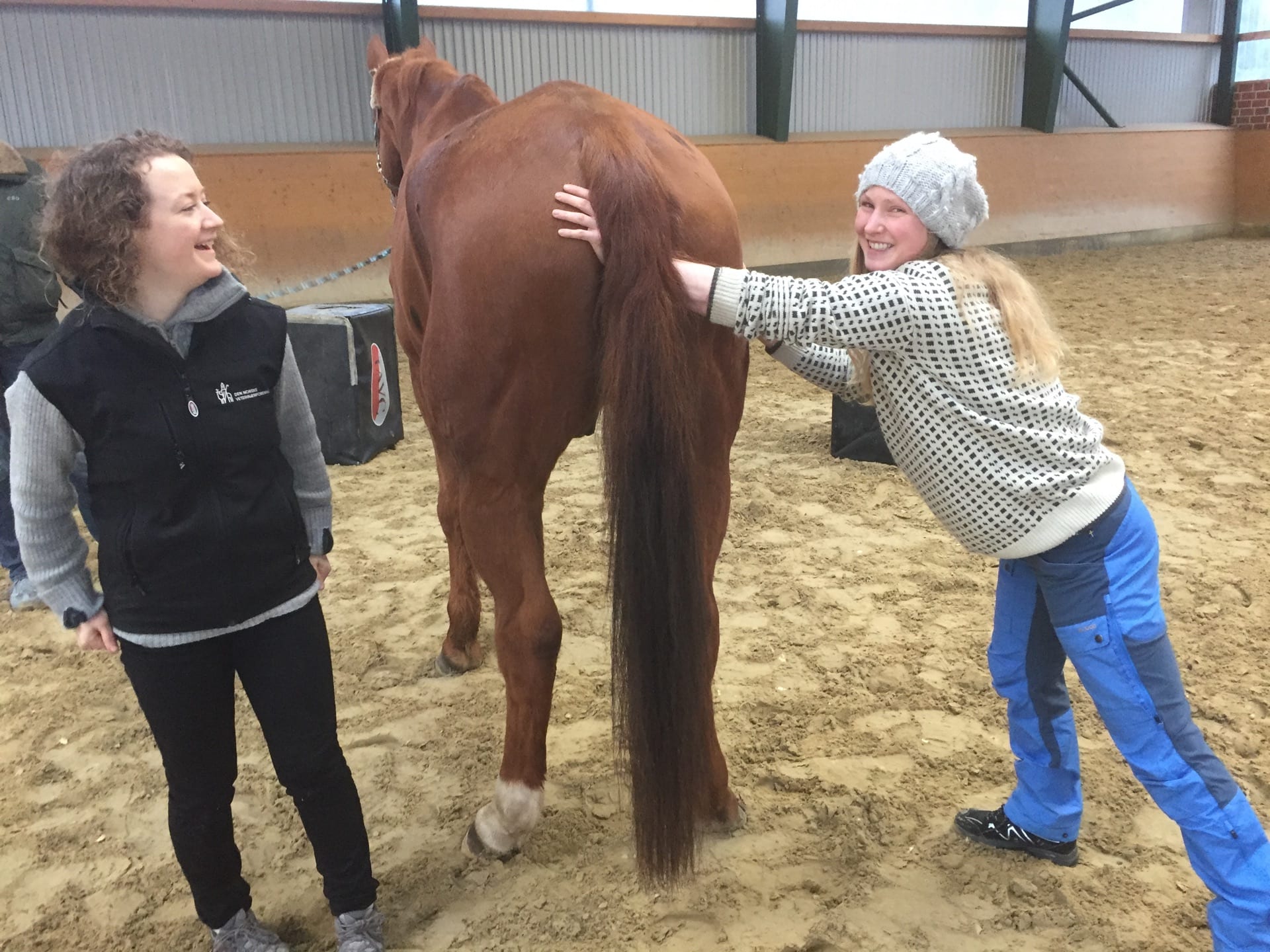 Advanced Equine seminar photo 4.