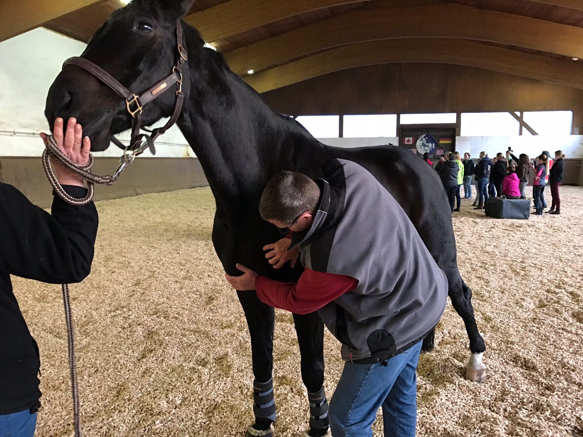 Advanced Equine seminar photo 1.