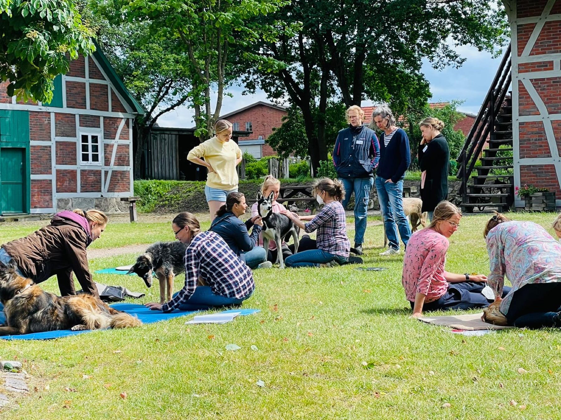 Canine 10-Step seminar photo 1.