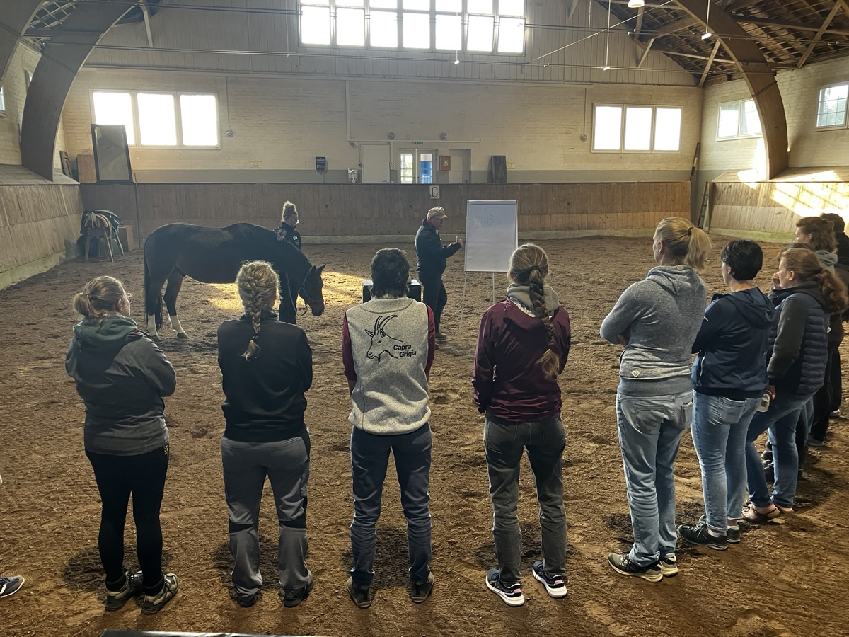 IAVC CPD seminar participants observing equine practical teaching