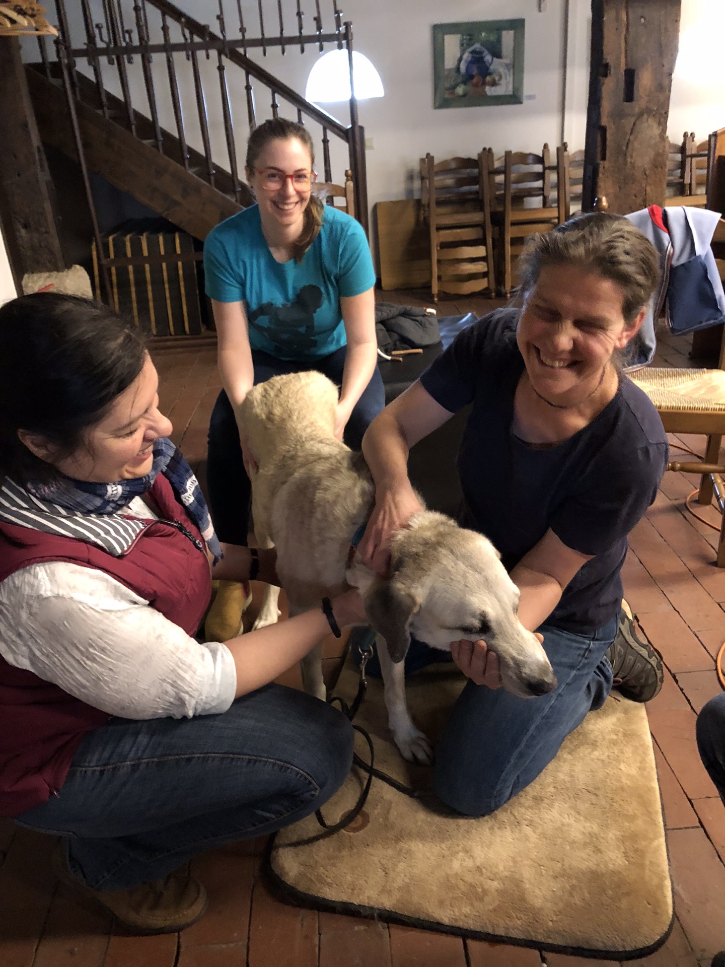 Advanced Small Animal seminar photo 2.