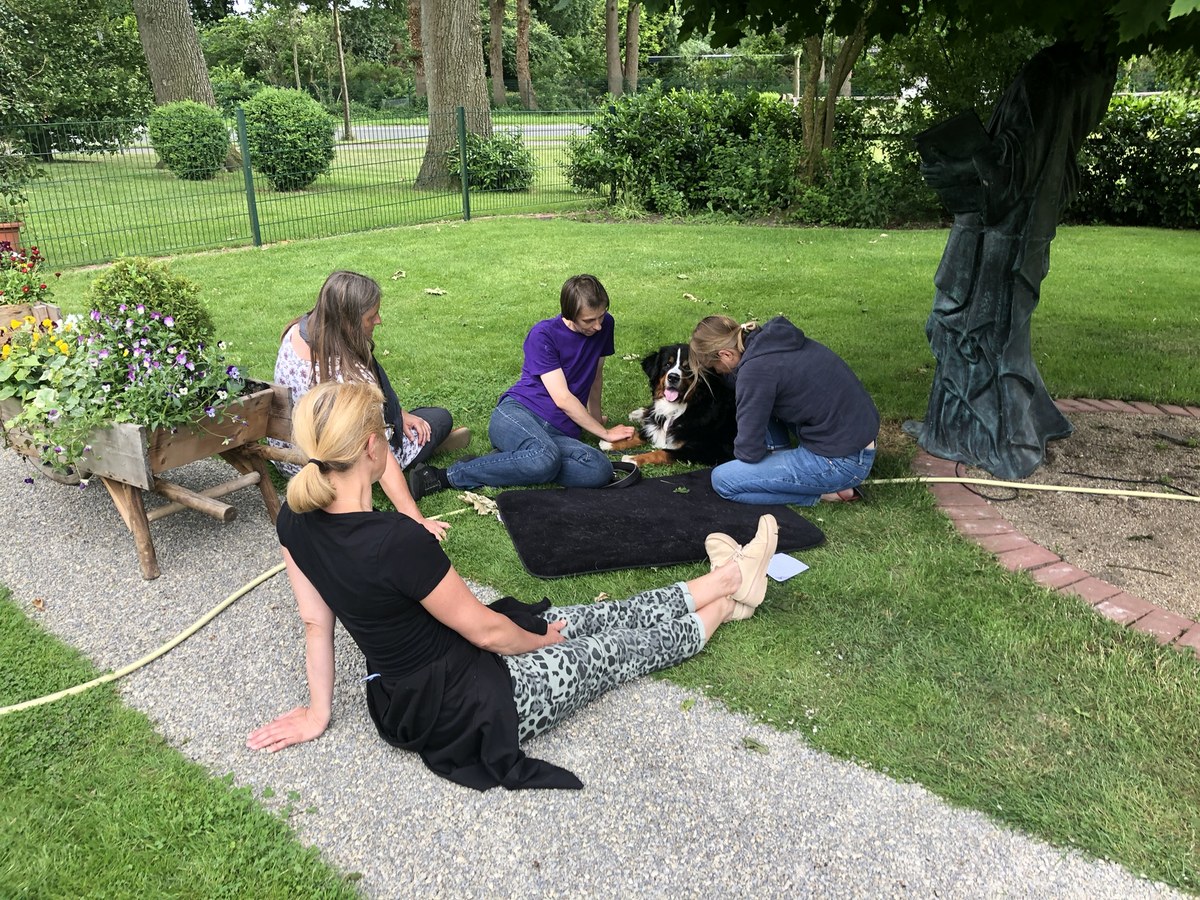 Cranio-Sacral Therapy Module V seminar thumbnail