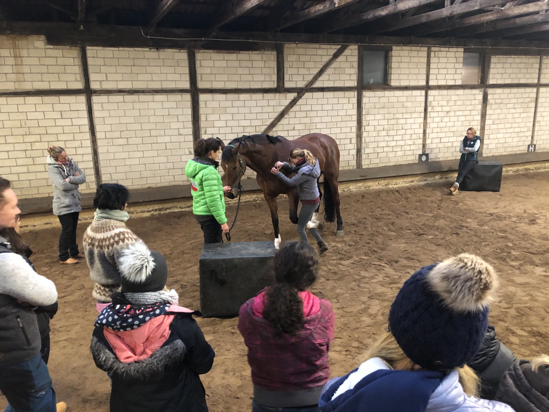 Advanced Equine seminar photo 5.