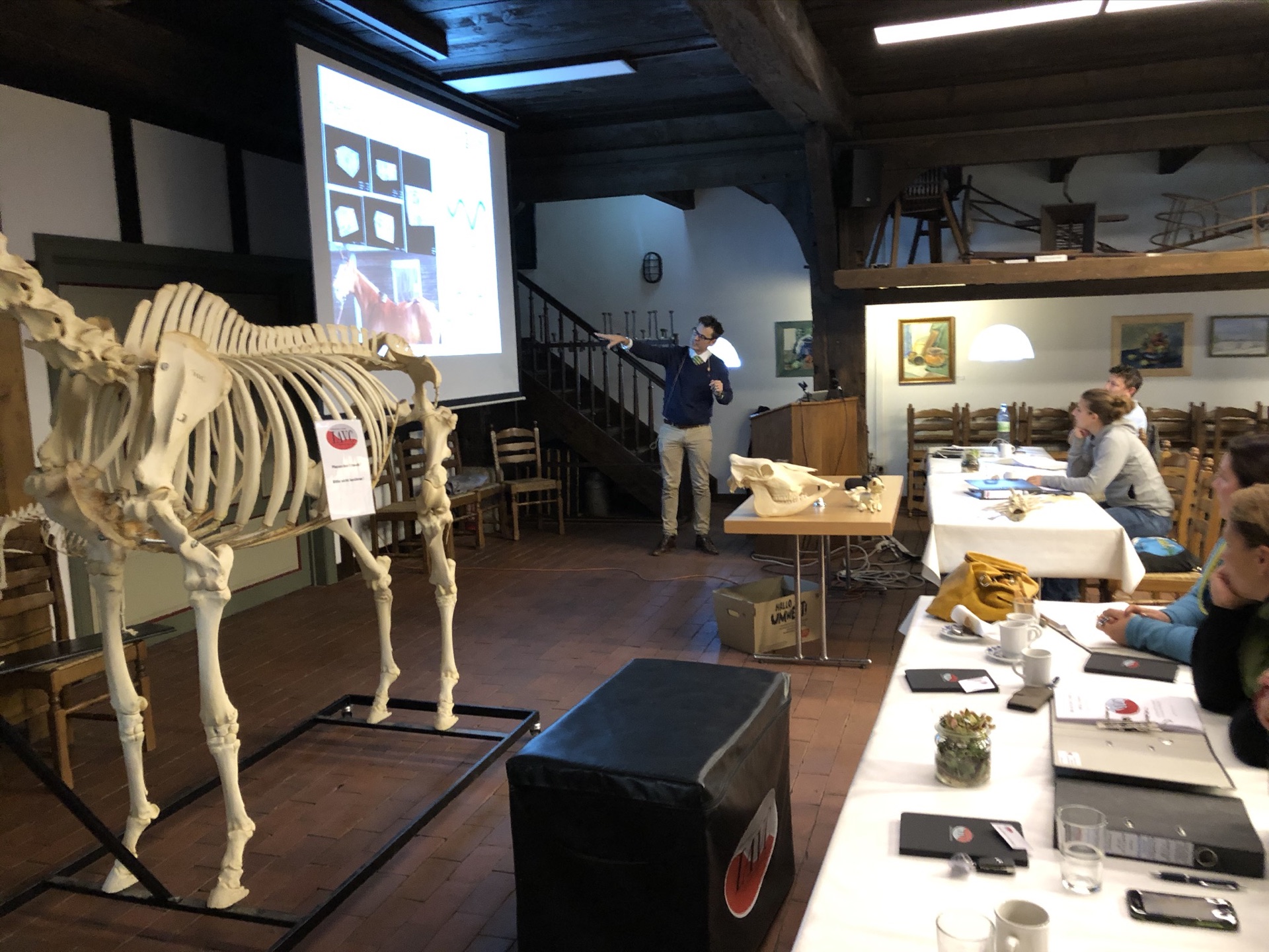 Advanced Equine seminar photo 3.