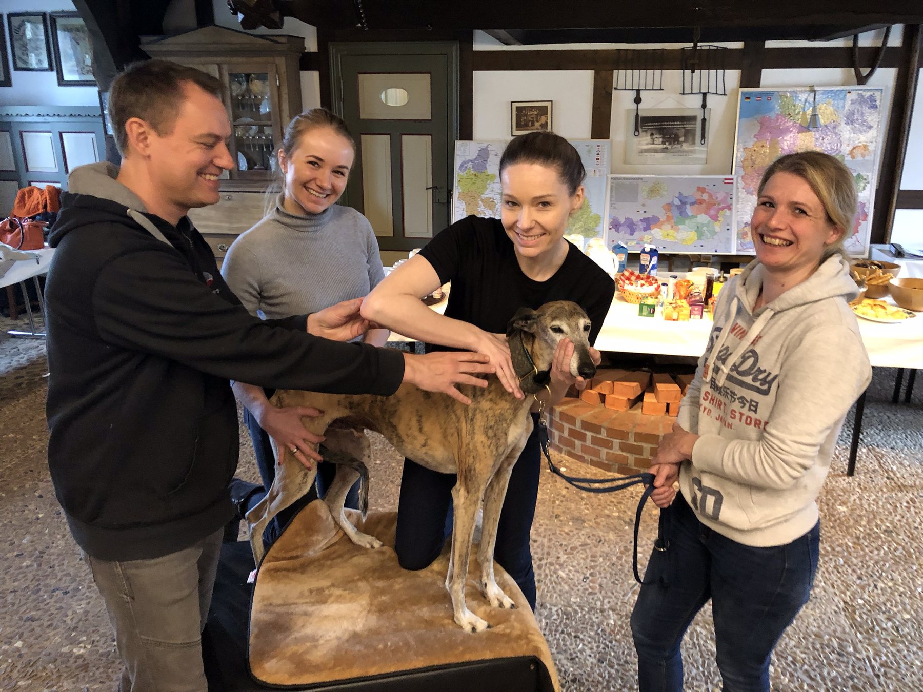 Students practising canine chiropractic technique during Both Species Essentials.