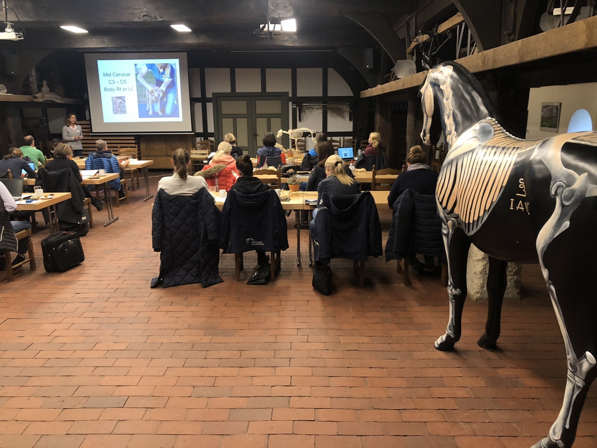 IAVC classroom session with an equine anatomy model beside the students.