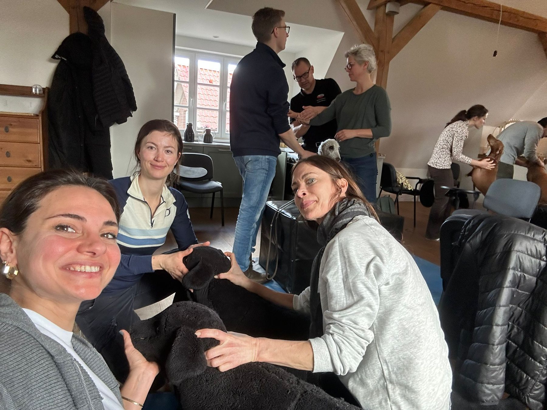 Canine Essentials students practising in small groups with canine teaching models.