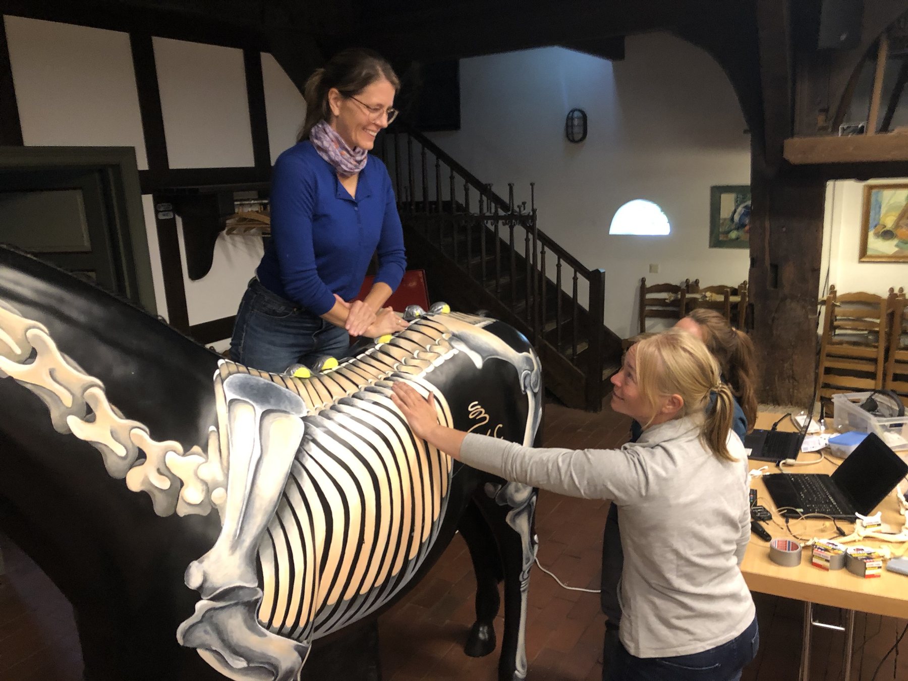 Students working with a painted equine anatomy model during IAVC training.