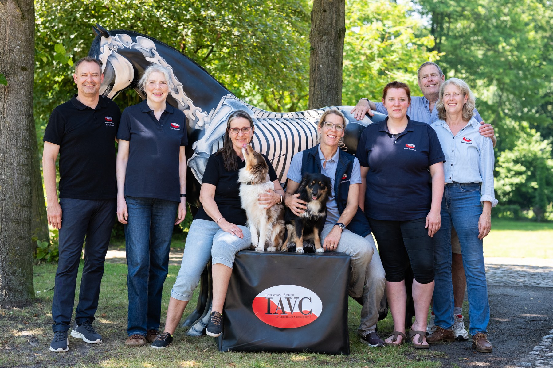 International IAVC clinical teaching team